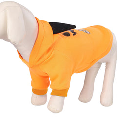 Halloween Pet Hoodie