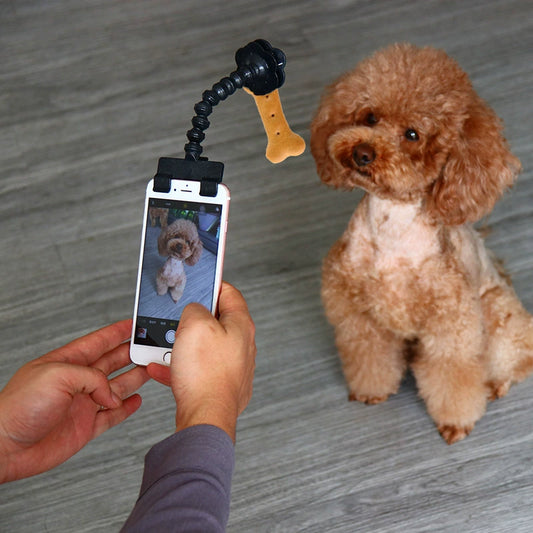 Numi Dogs and Cats Universal Selfie Stick Supplies Pet Toy Pet Selfie Stick Induced Lens Food Clip